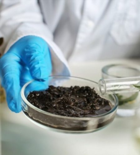 Fertilizer